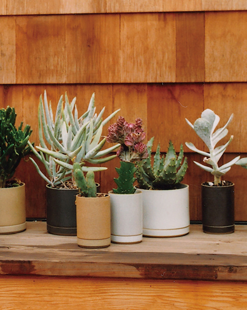 Hasami Porcelain - Planter Set
