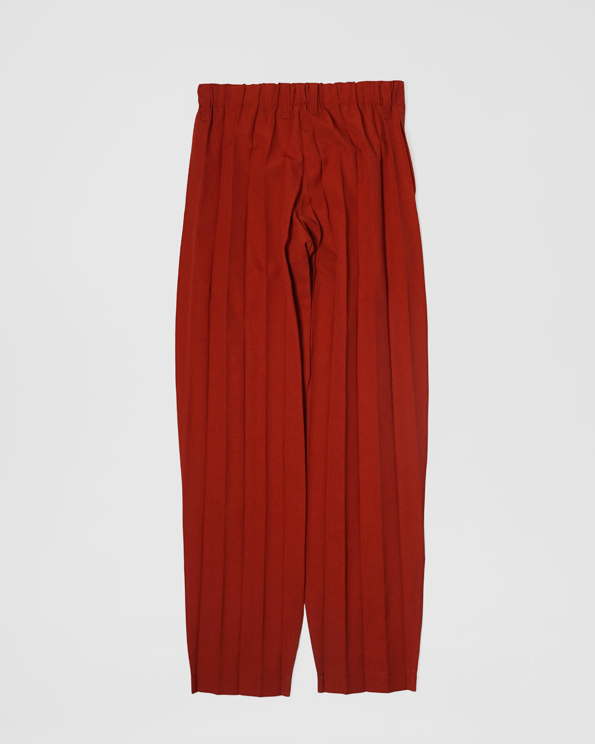 Homme Plisse Edge Ensemble Wide Pleats Pants