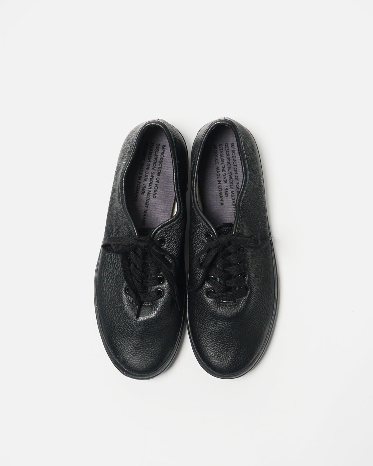 Swedish Military Trainer