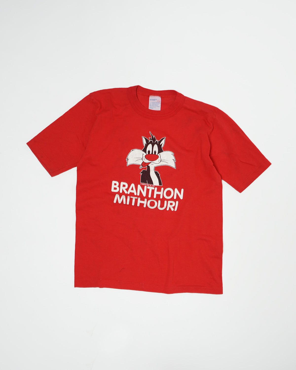 Graphic Tee / Warner Bros / Branthon Mithouri