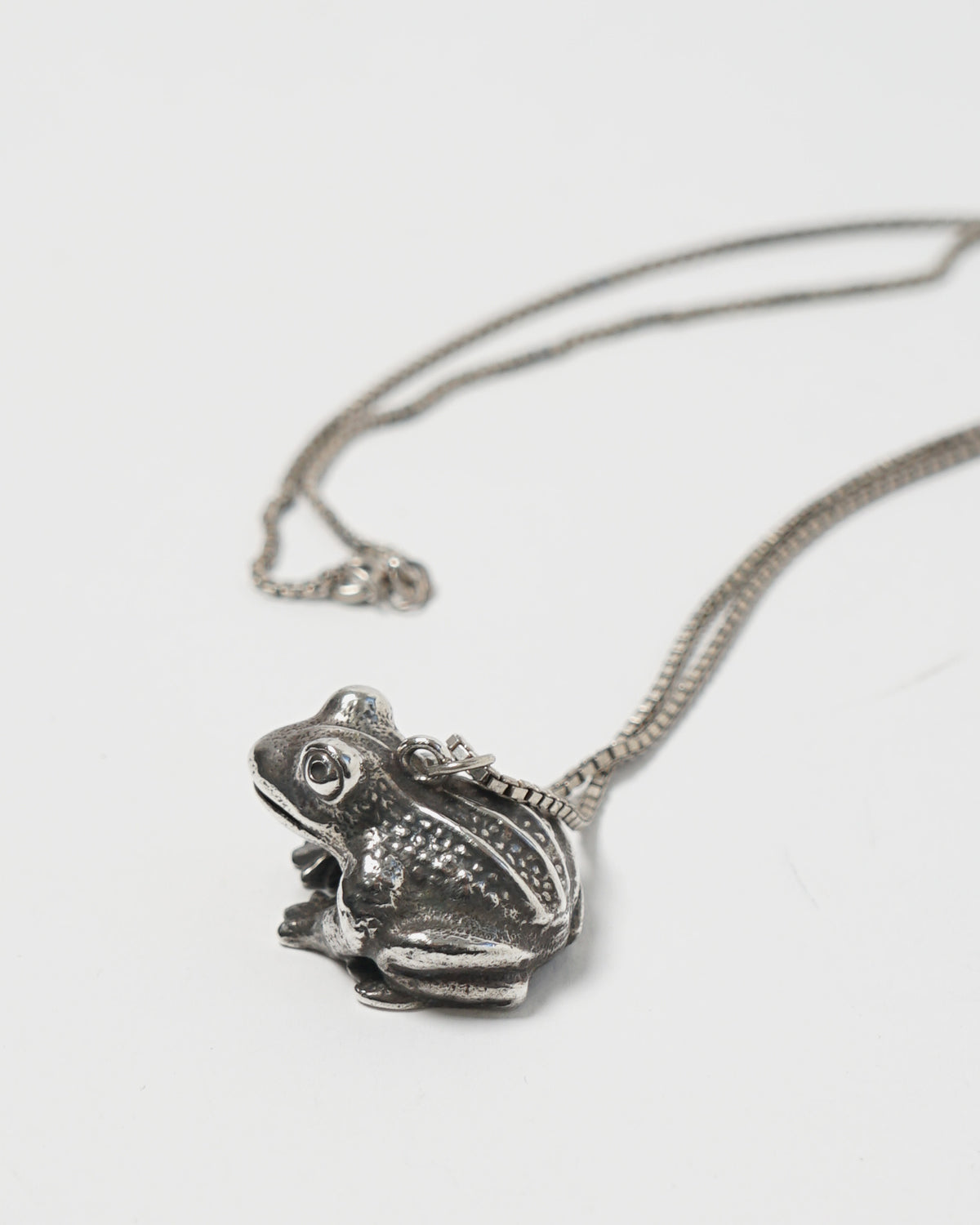 Silver Chain Necklace w/ Frog Charm