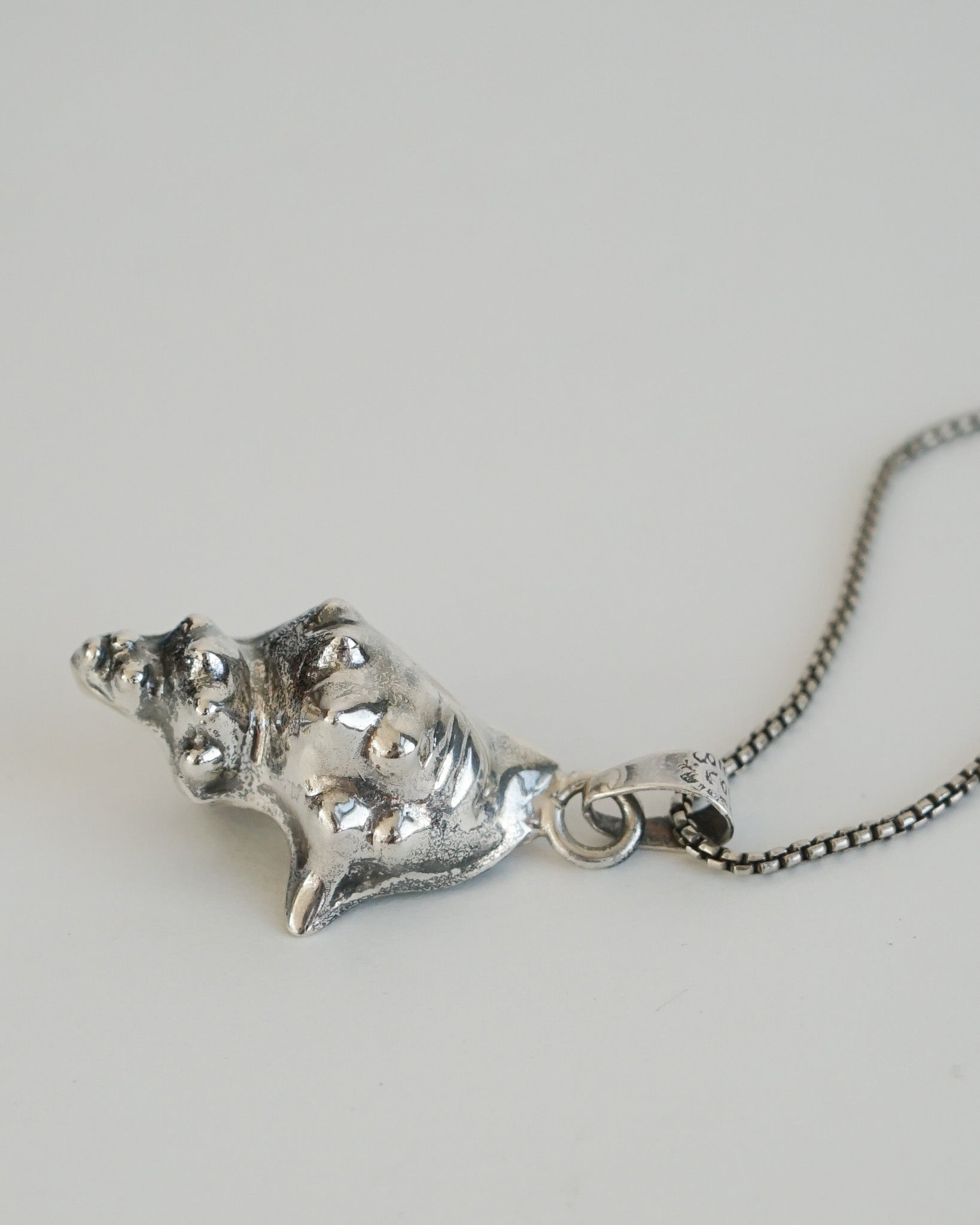 Silver Chain Necklace w/ Shell Charm