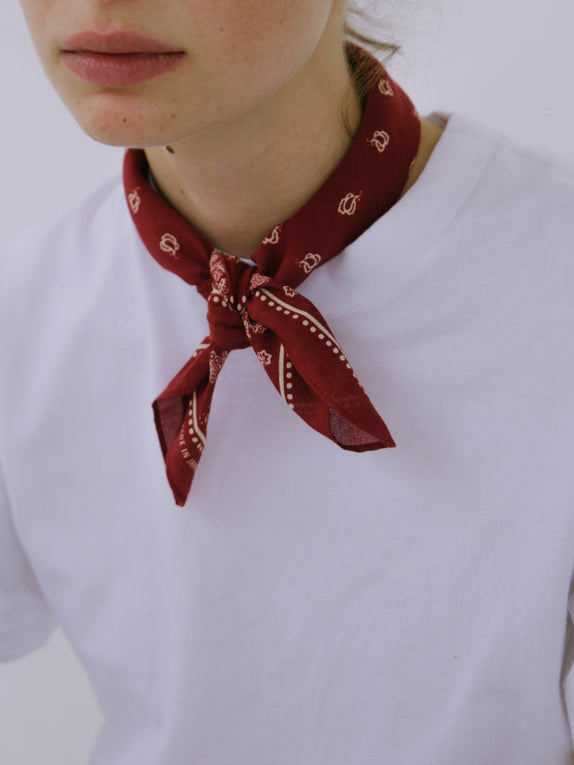 Patterned Bandanna / Paisley