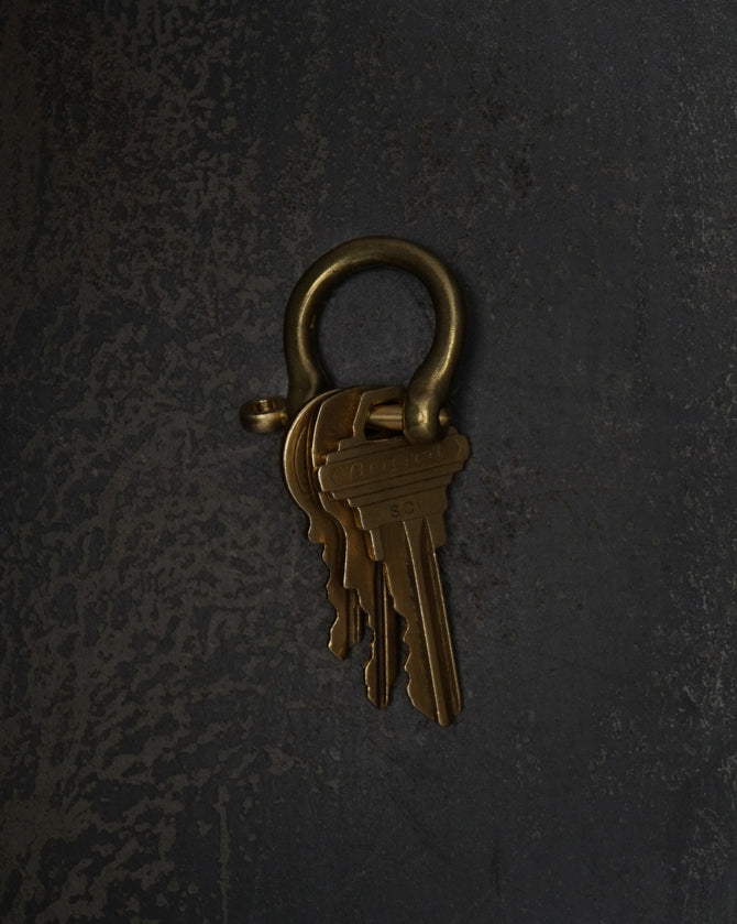 Brass Screw Keyring