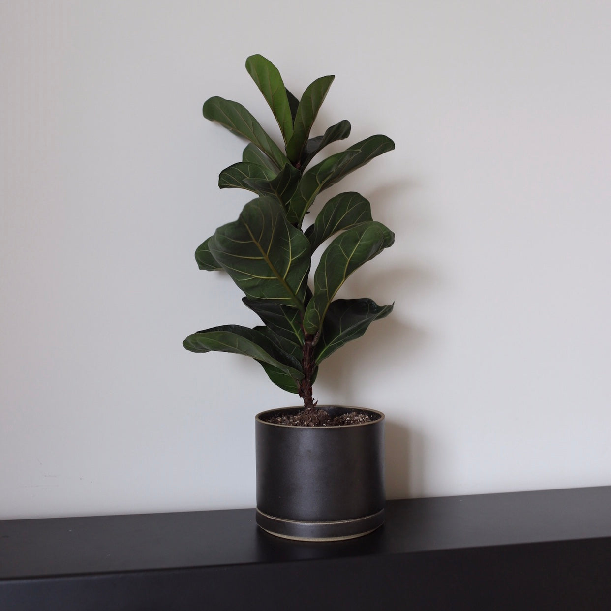 Hasami Porcelain - Planter Set L / Black