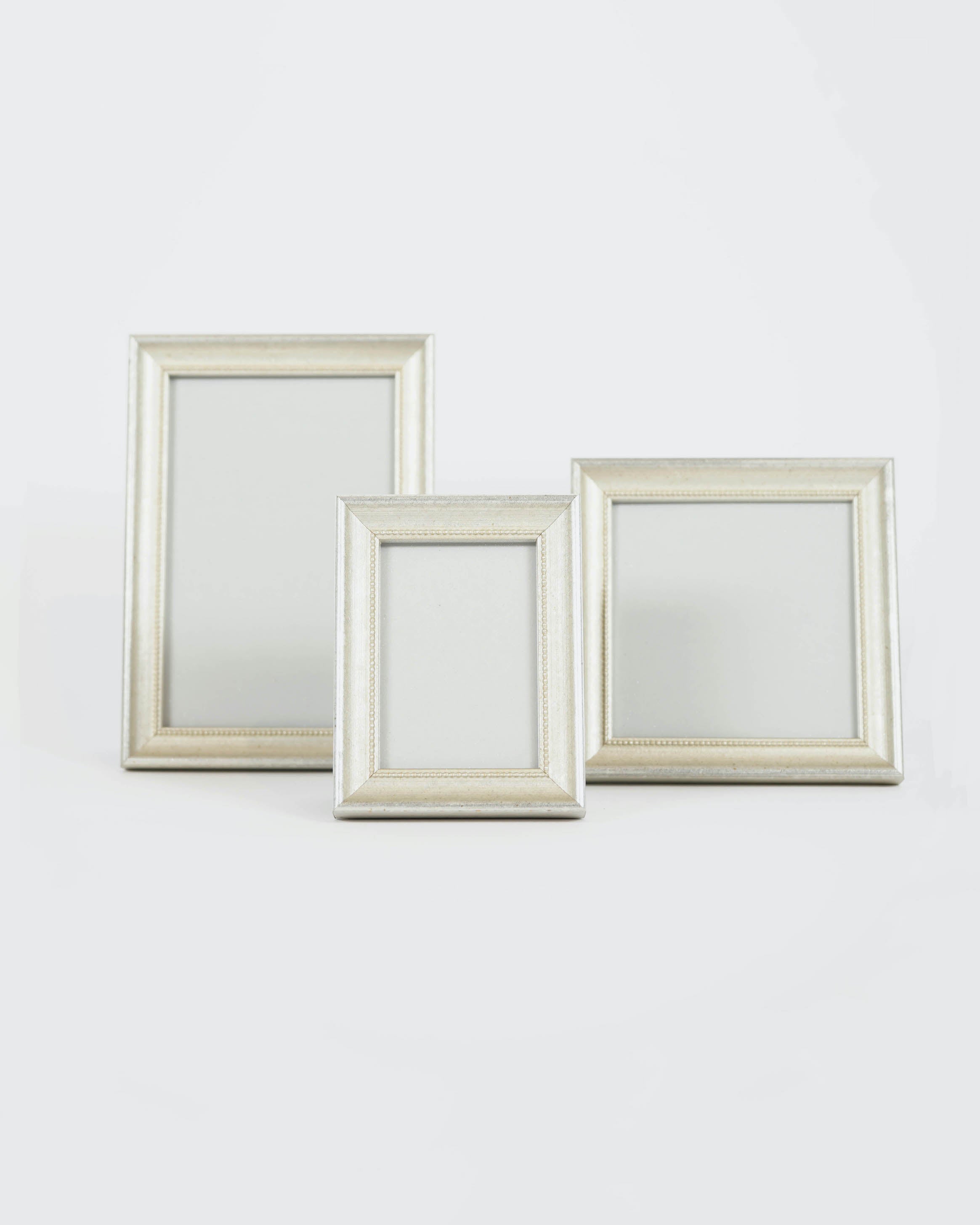 Picture Frame / Silver