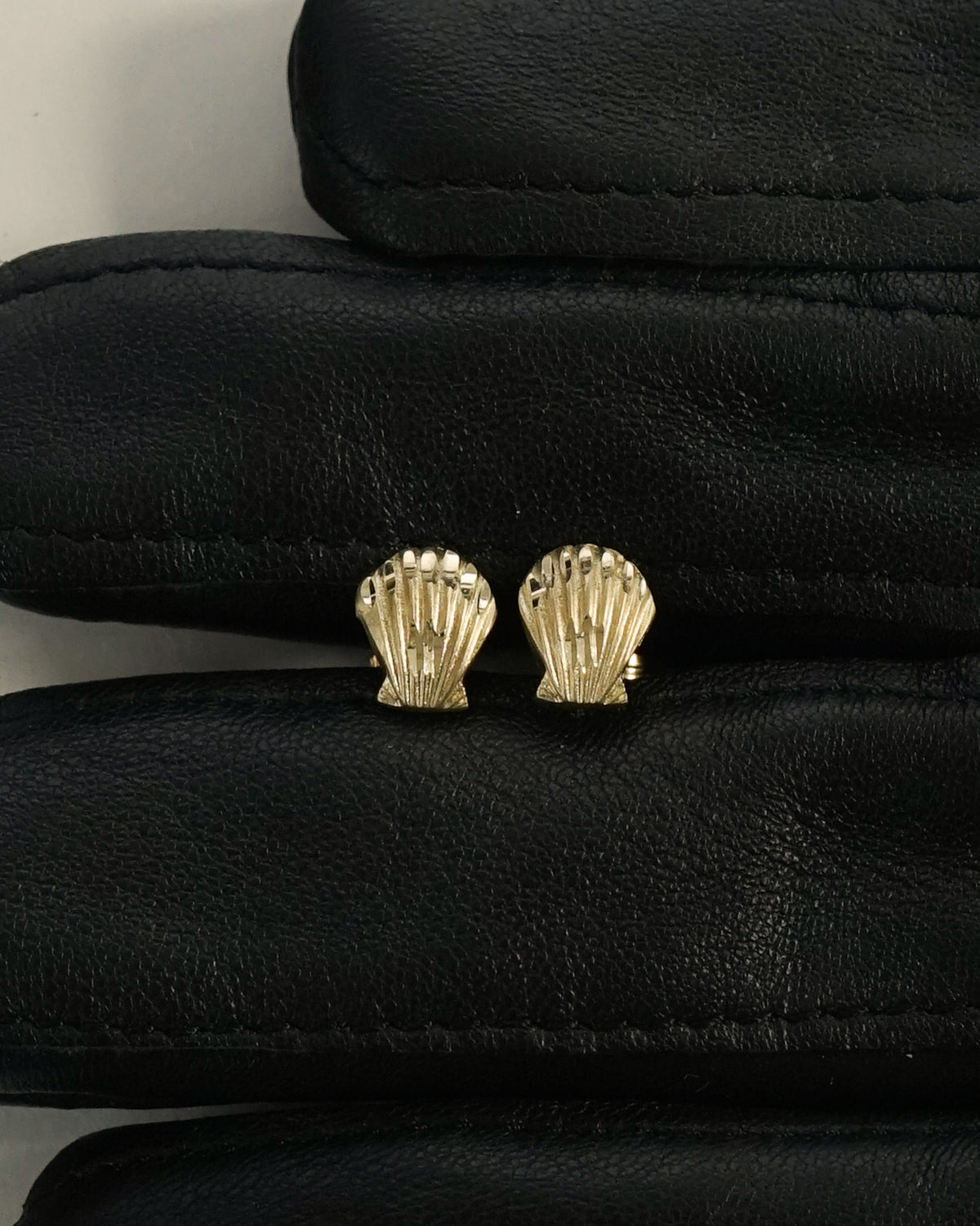 14k Gold Shell Earrings