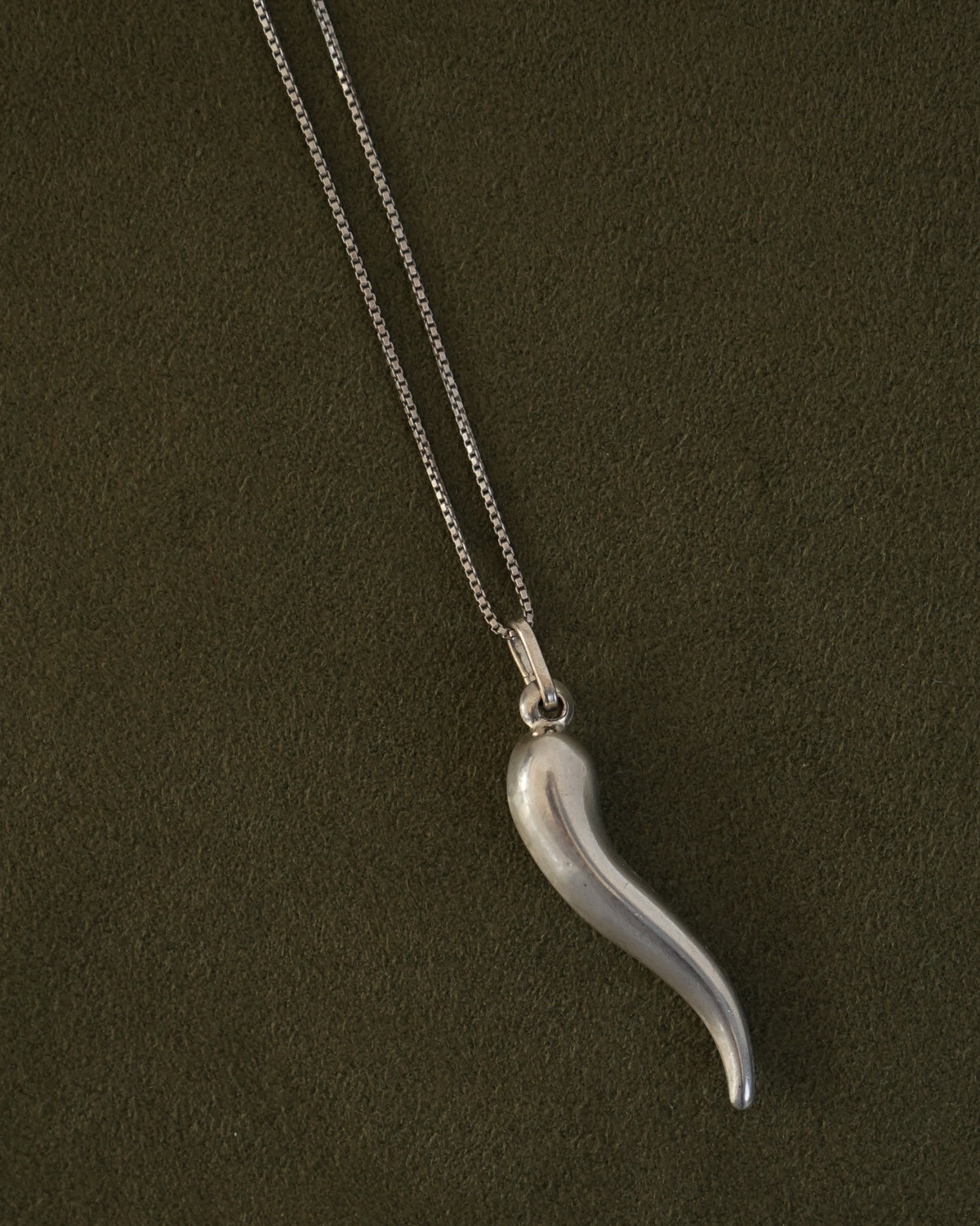 Silver Chain Necklace w/ Horn Charm