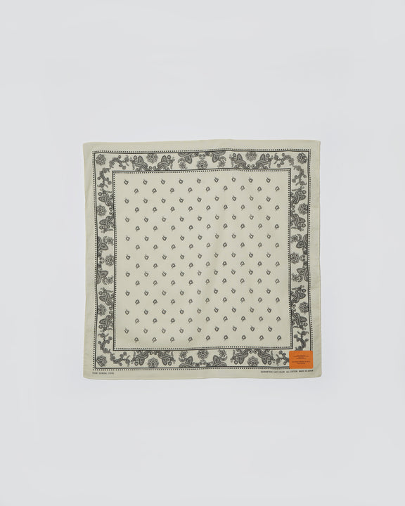 Patterned Bandanna / Paisley