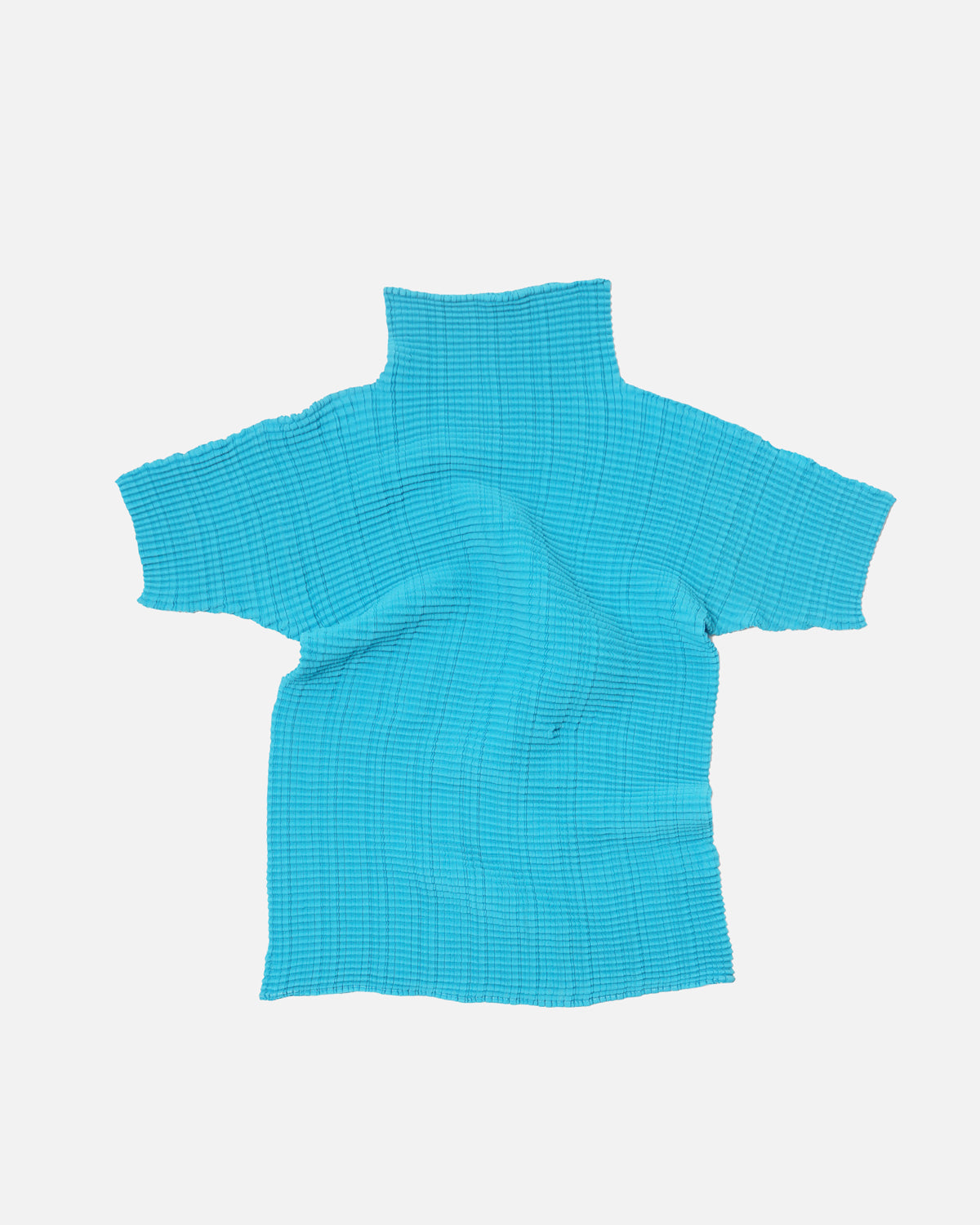 Issey Miyake Pleats Mock Neck Top