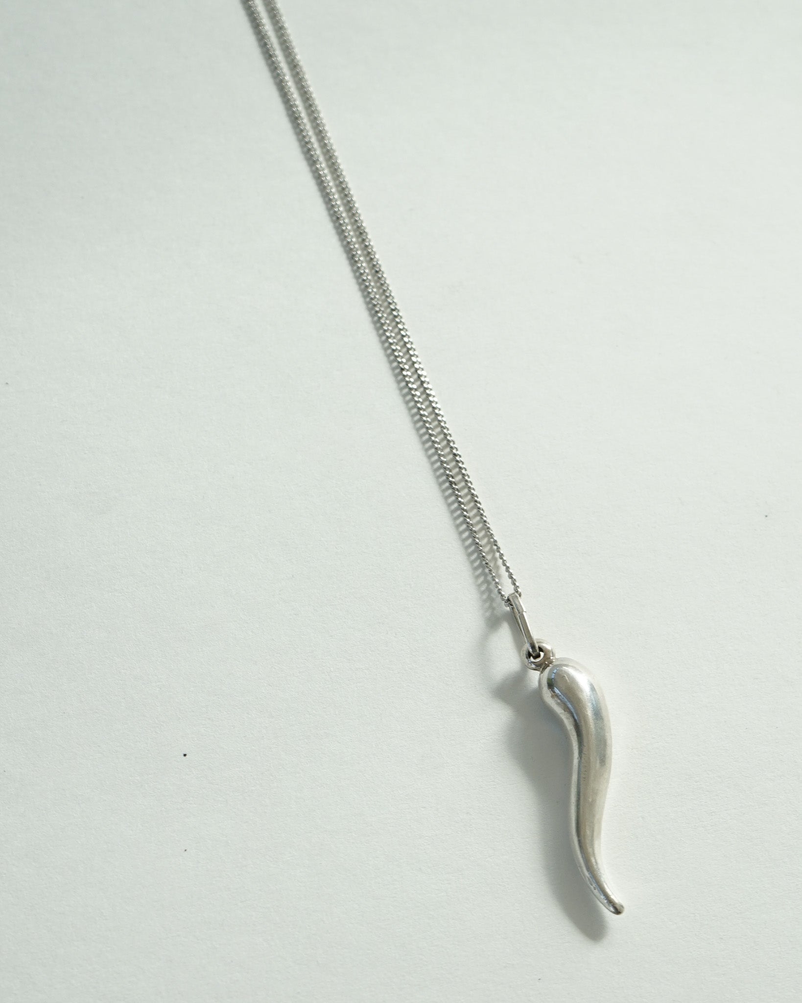 Silver Chain Necklace w/ Horn Charm