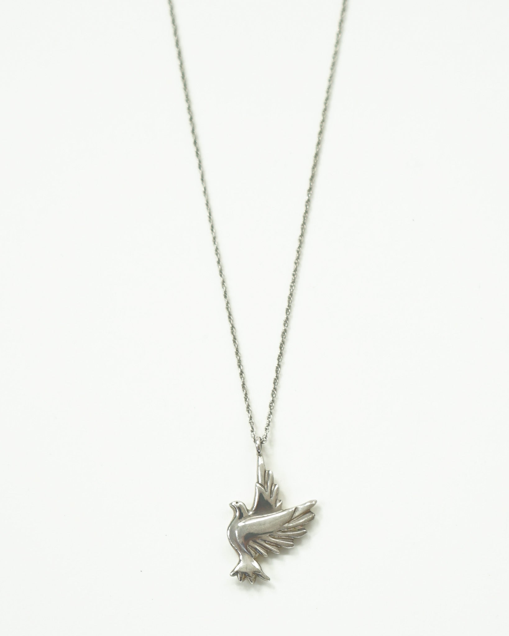 Silver Necklace w/ Charm