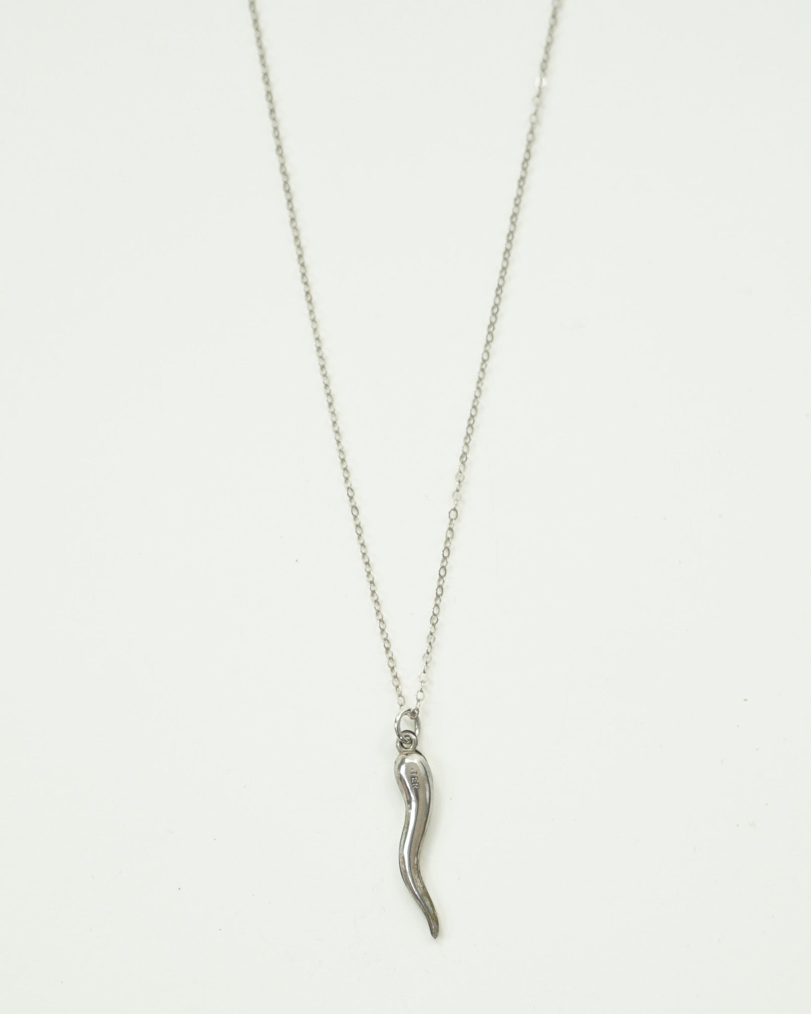 Silver Necklace w/ Charm