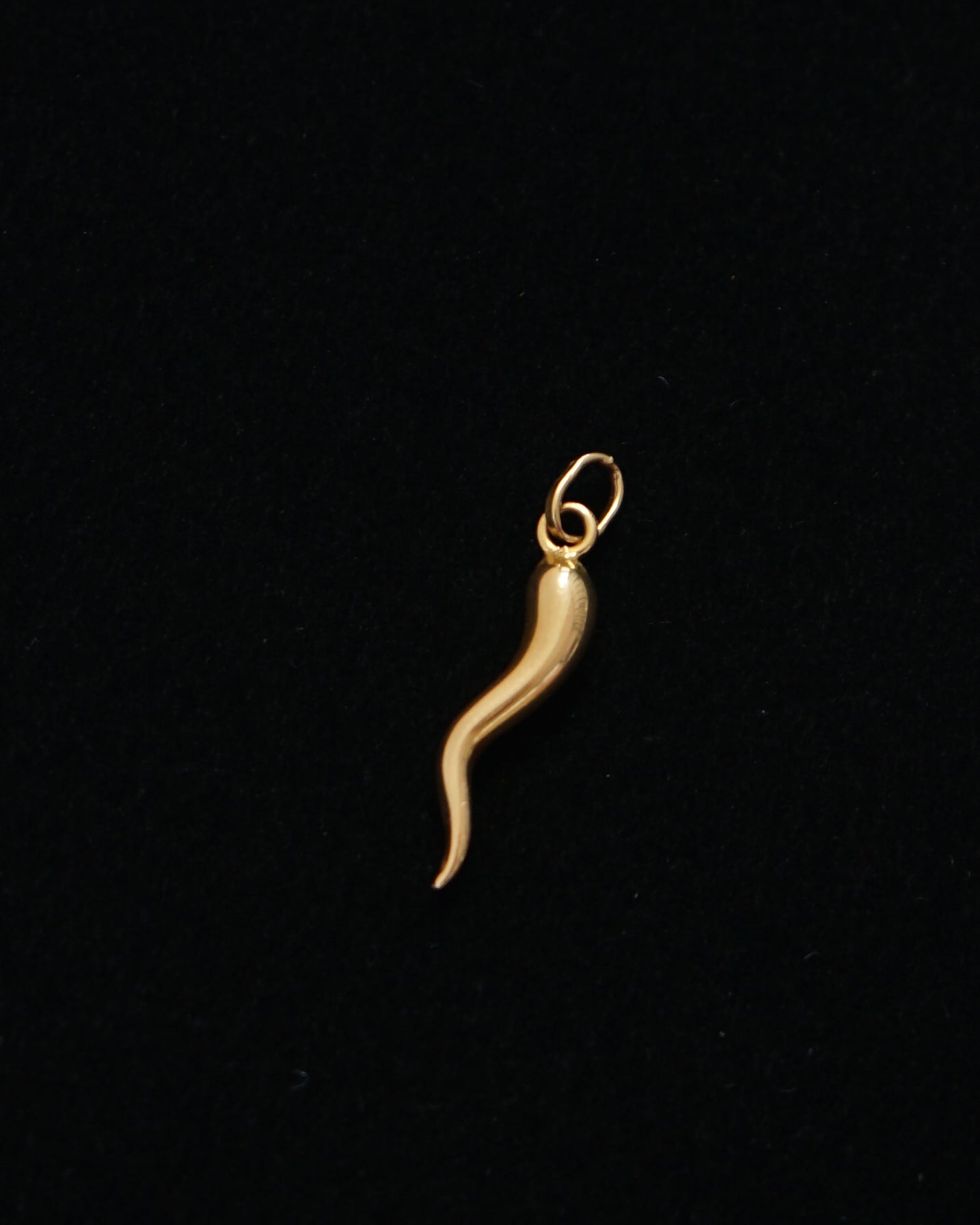 14k Gold Charm