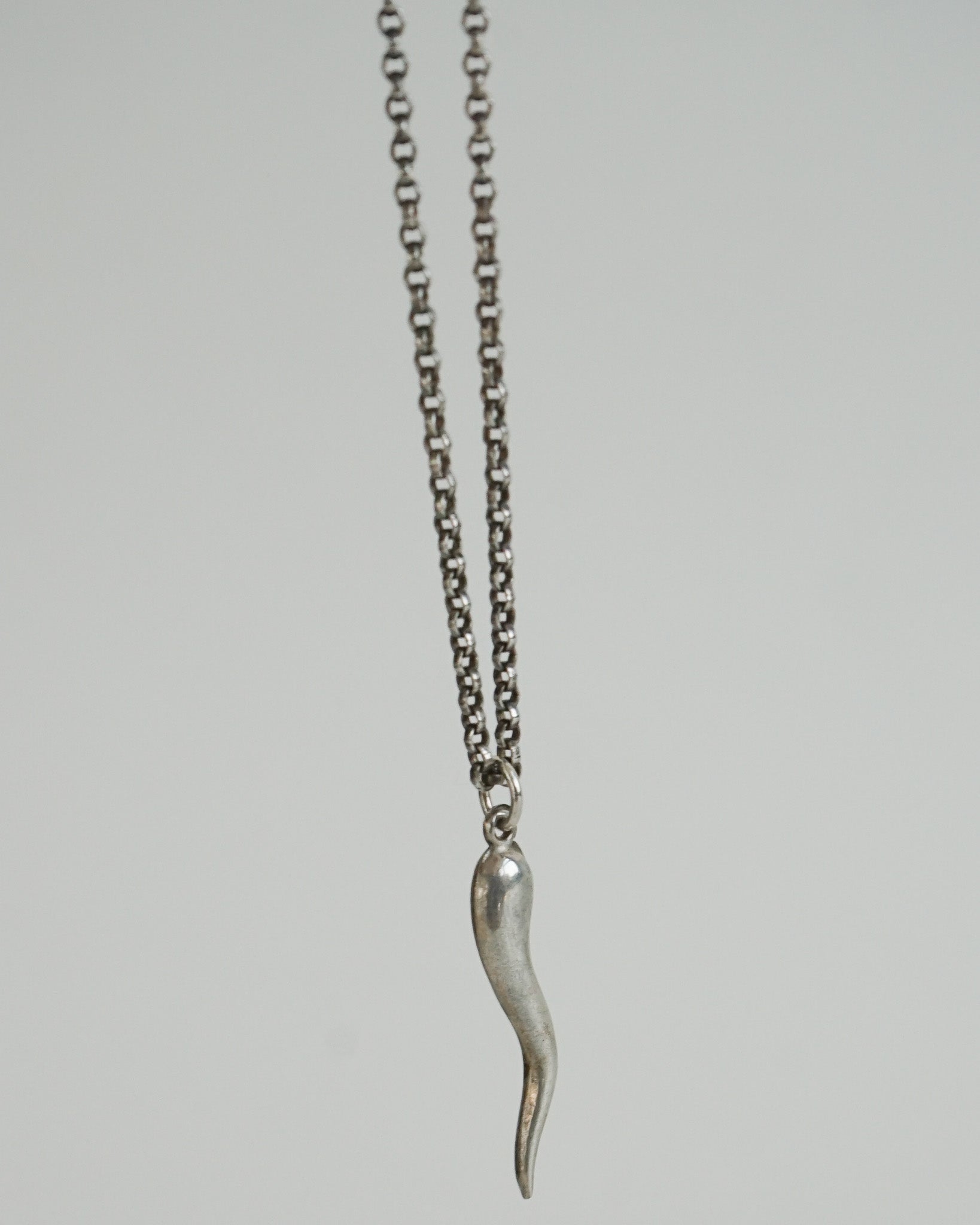 Silver Chain Necklace w/ Horn Charm