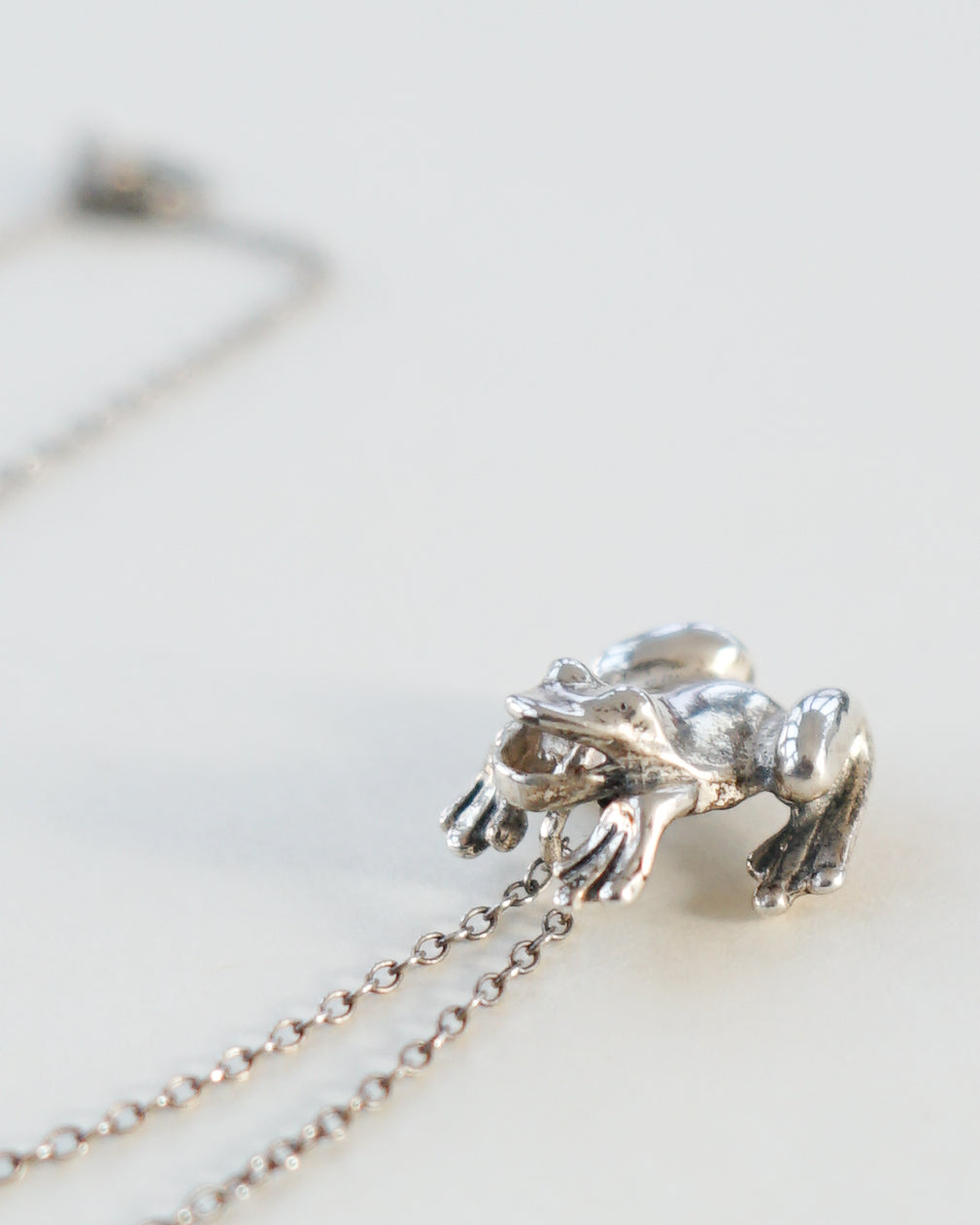 Silver Chain Necklace w/ Frog Charm