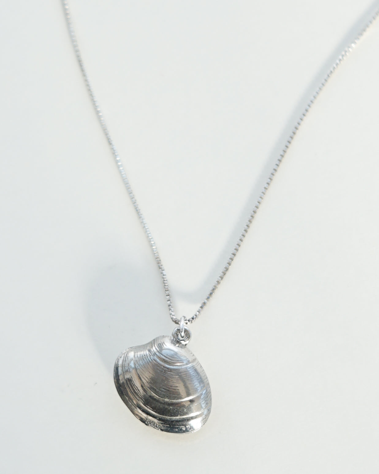 Silver Chain Necklace w/ Shell Charm