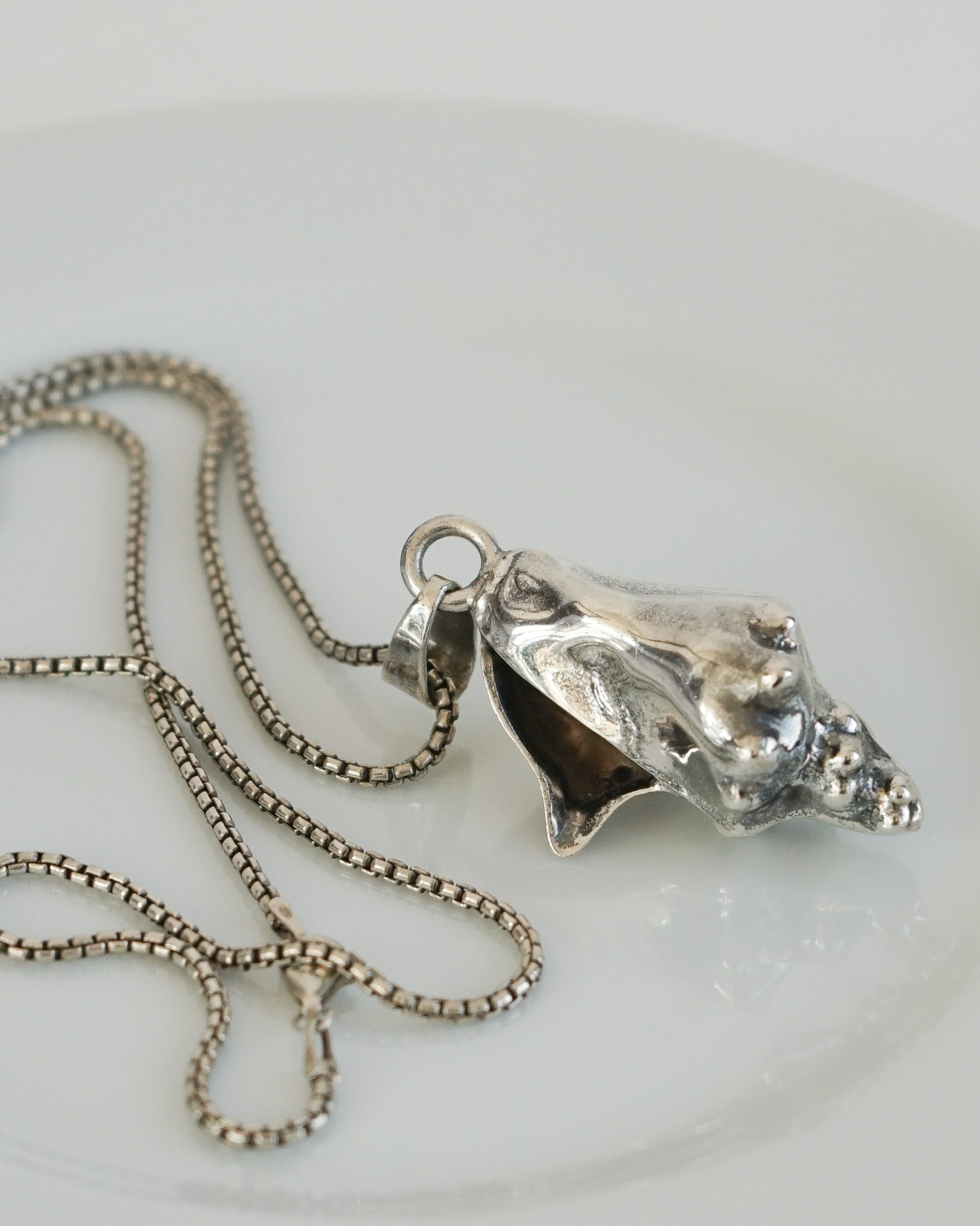 Silver Chain Necklace w/ Shell Charm