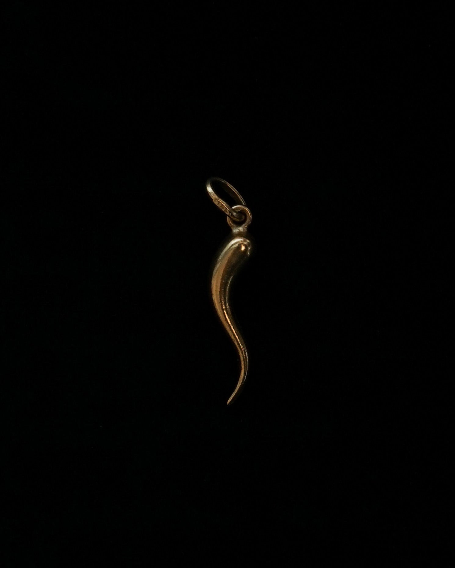 14k Gold Horn Charm