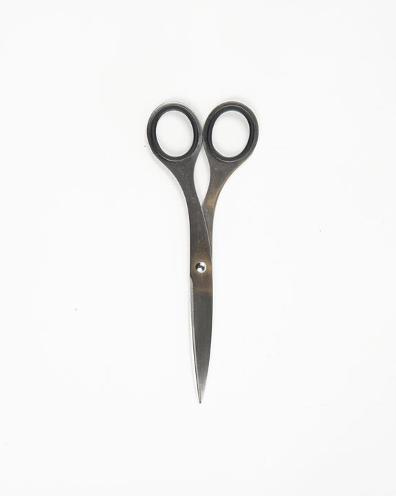Stainless Scissors