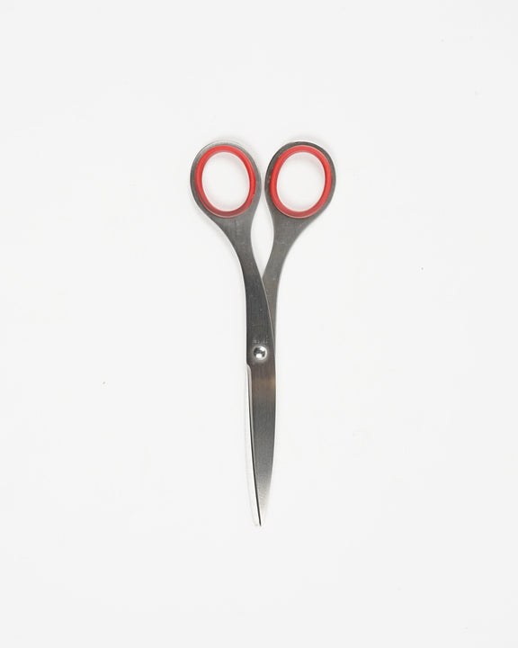 Stainless Scissors