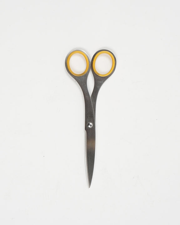 Stainless Scissors